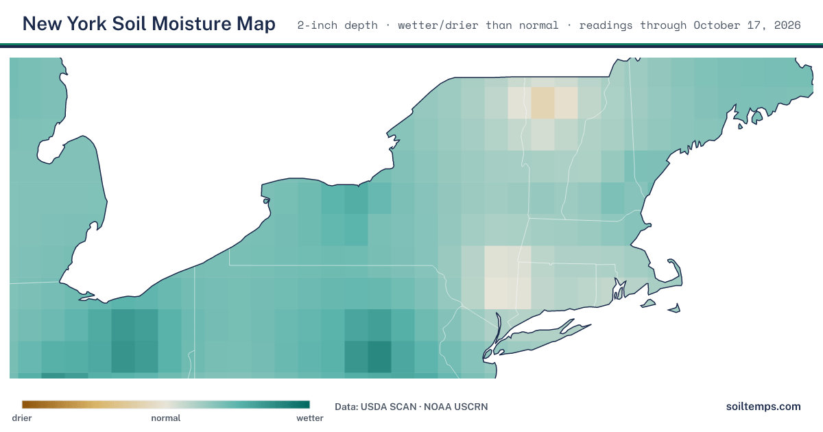 Map of soil moisture across New York, showing where the ground is wetter or drier than normal
