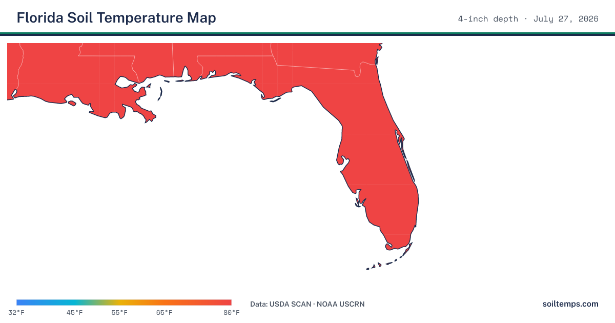 Map of current soil temperatures across Florida at 4-inch depth, interpolated from USDA SCAN and NOAA USCRN stations