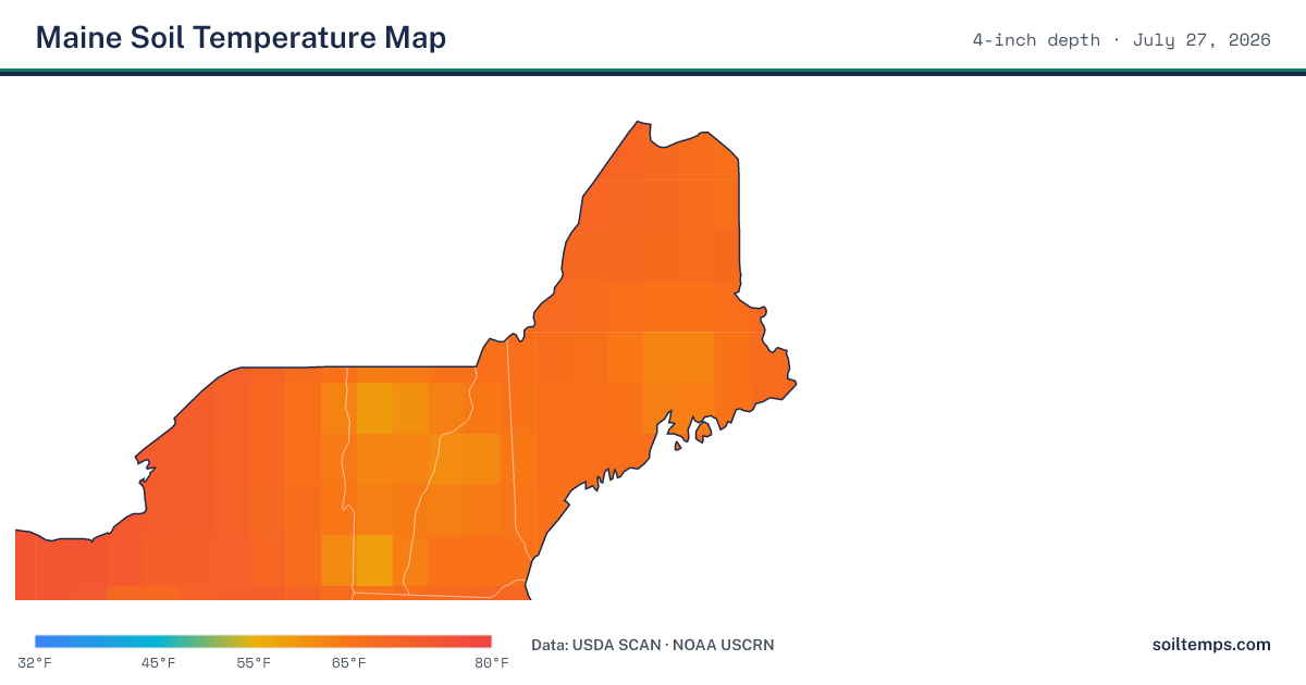 Map of current soil temperatures across Maine at 4-inch depth, interpolated from USDA SCAN and NOAA USCRN stations