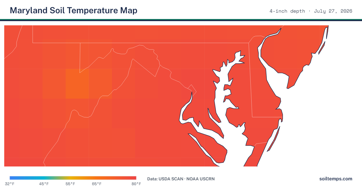 Map of current soil temperatures across Maryland at 4-inch depth, interpolated from USDA SCAN and NOAA USCRN stations