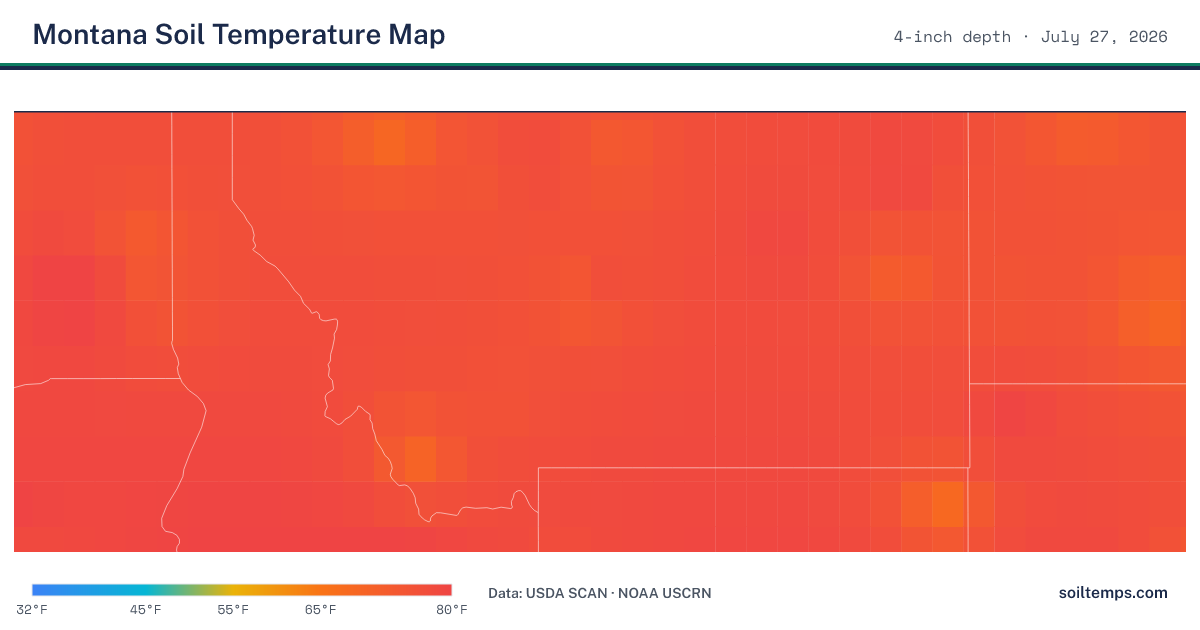 Map of current soil temperatures across Montana at 4-inch depth, interpolated from USDA SCAN and NOAA USCRN stations