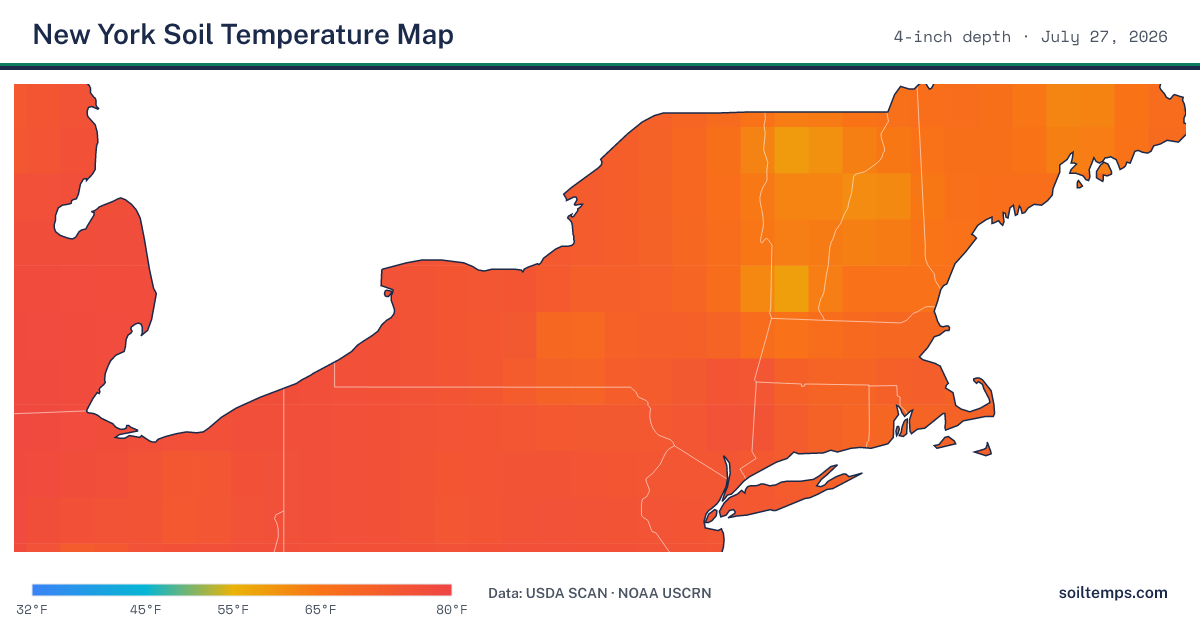 Map of current soil temperatures across New York at 4-inch depth, interpolated from USDA SCAN and NOAA USCRN stations