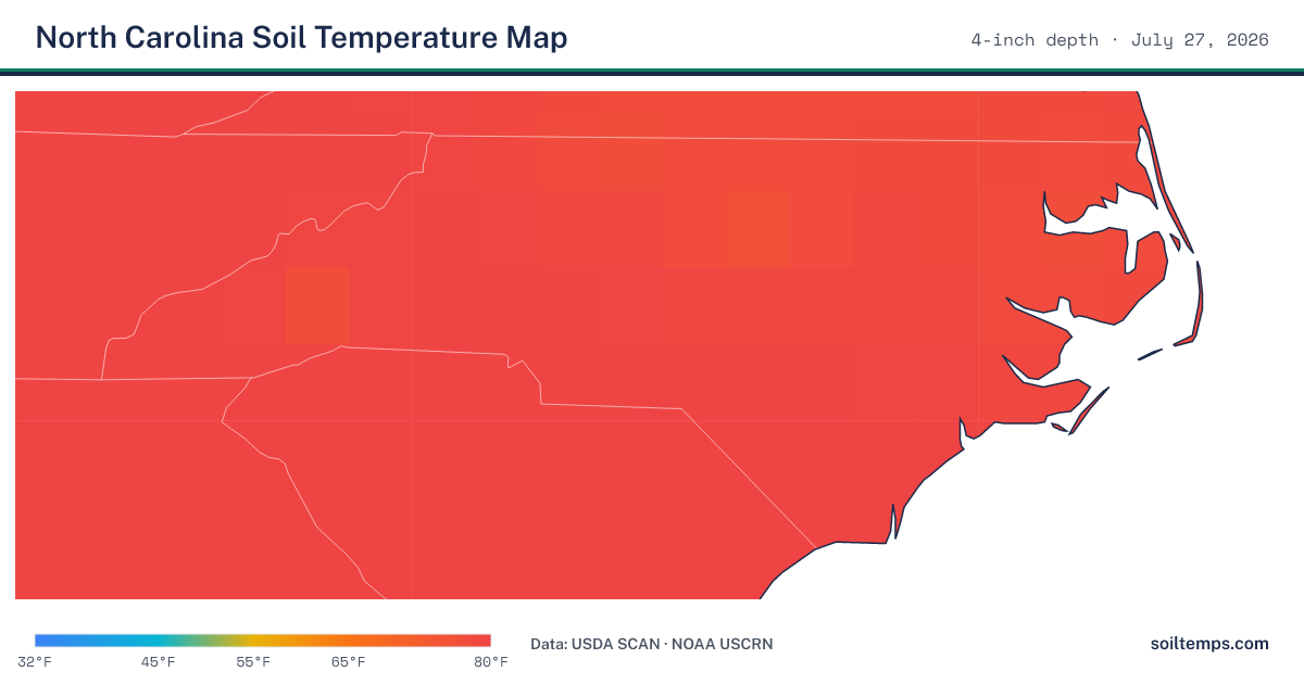 Map of current soil temperatures across North Carolina at 4-inch depth, interpolated from USDA SCAN and NOAA USCRN stations