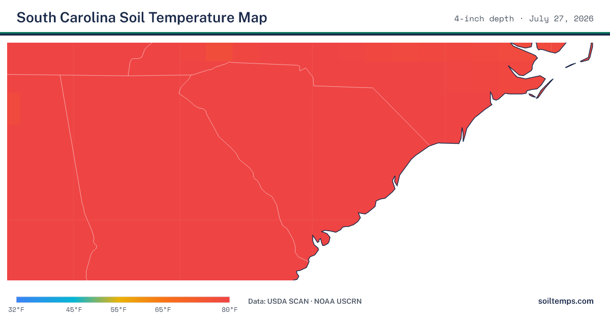 Map of current soil temperatures across South Carolina at 4-inch depth, interpolated from USDA SCAN and NOAA USCRN stations