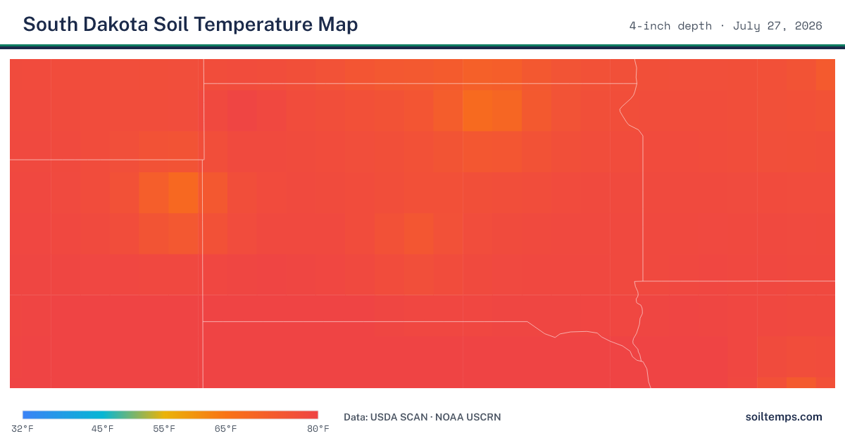 Map of current soil temperatures across South Dakota at 4-inch depth, interpolated from USDA SCAN and NOAA USCRN stations