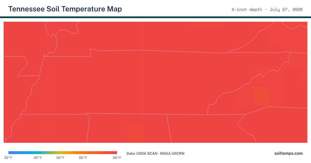 Map of current soil temperatures across Tennessee at 4-inch depth, interpolated from USDA SCAN and NOAA USCRN stations