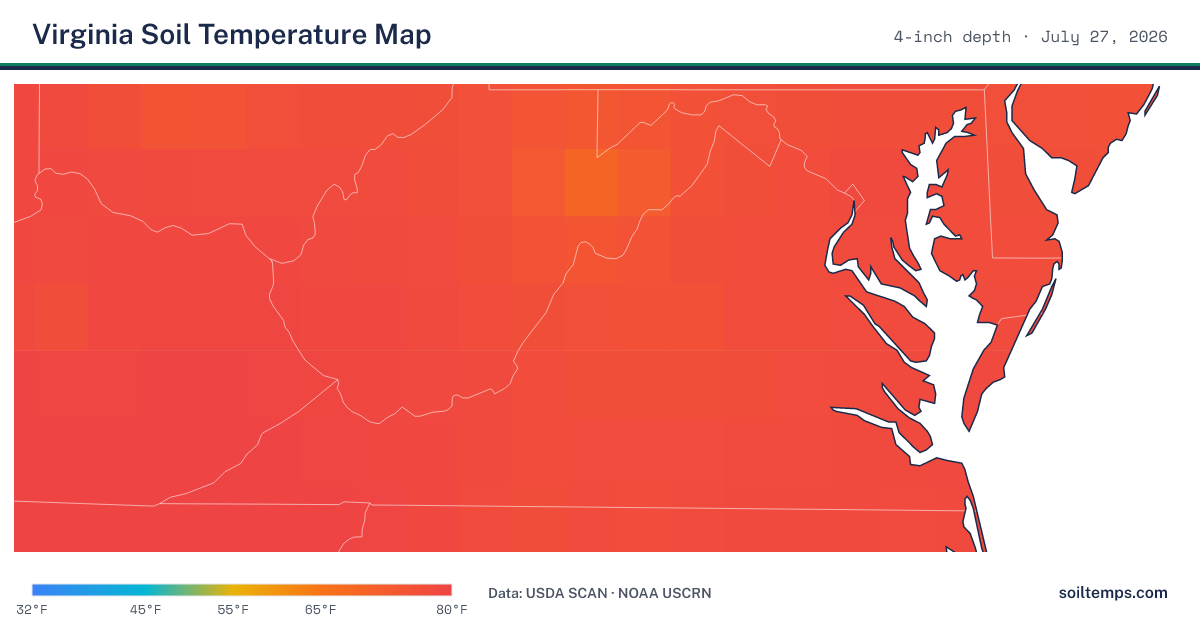 Map of current soil temperatures across Virginia at 4-inch depth, interpolated from USDA SCAN and NOAA USCRN stations