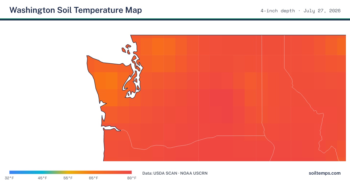 Map of current soil temperatures across Washington at 4-inch depth, interpolated from USDA SCAN and NOAA USCRN stations