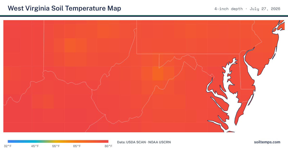 Map of current soil temperatures across West Virginia at 4-inch depth, interpolated from USDA SCAN and NOAA USCRN stations